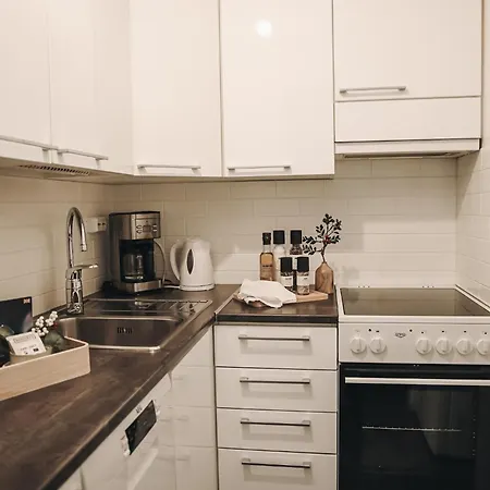 Arctic Haven By Booklapland 公寓 罗瓦涅米