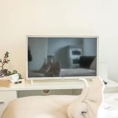 Arctic Haven By Booklapland 公寓 *