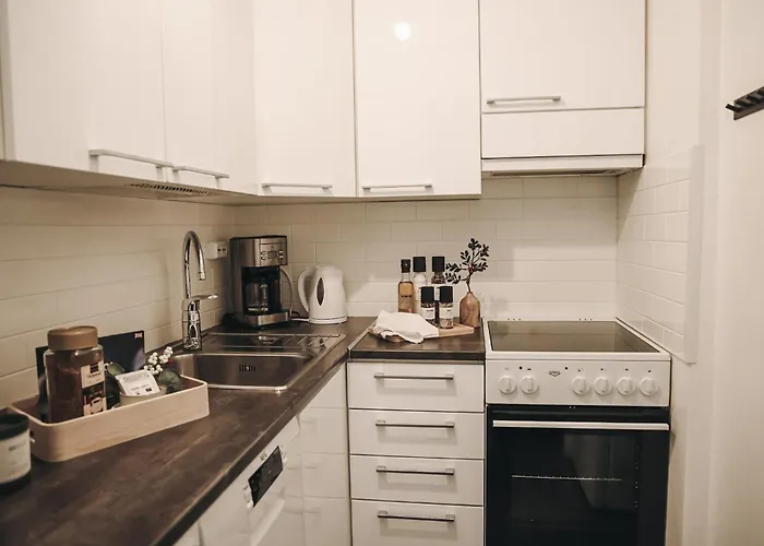 Arctic Haven By Booklapland 公寓 罗瓦涅米